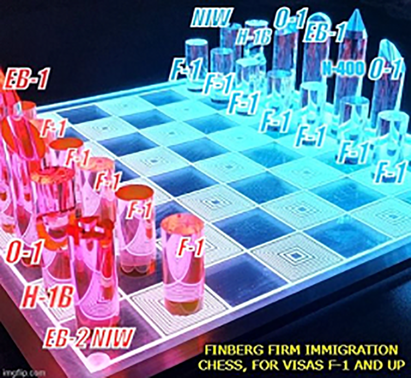 Immigration Chess