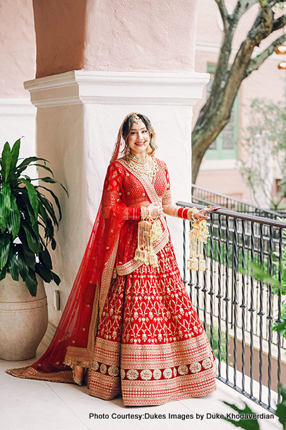 Indian Wedding CARRIAGE from Wind Chase Farm