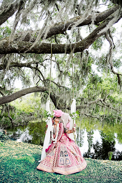 Indian wedding HORSE from BFR Carriage Service LLC
