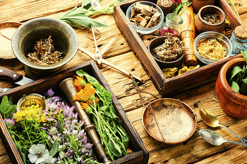 Fresh medicinal,healing herbs.Alternative medicine herbal.Natural herbal medicine