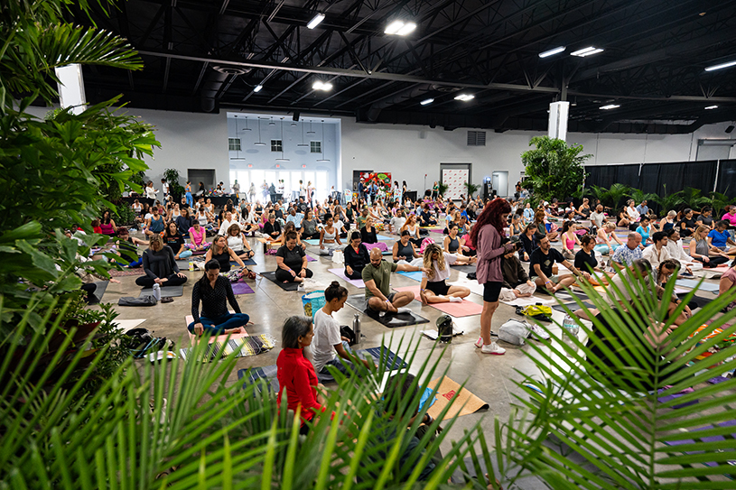 Yoga practitioners